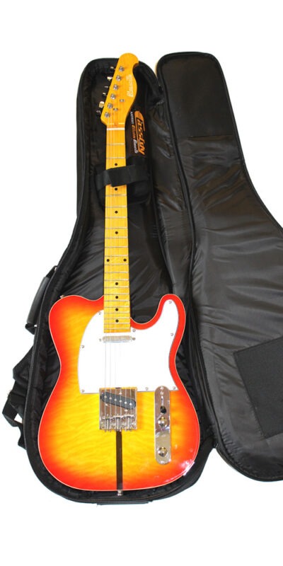 Deluxe Electric Guitar Gig Bag EGB1